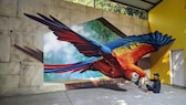 3D-Streetart von Carlos Alberto GH