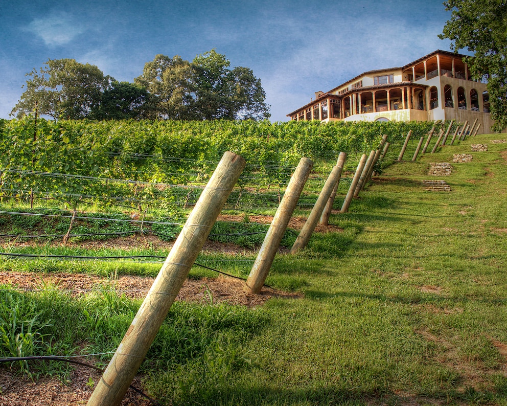 Ein Weingut in der Kleinstadt Dahlonega in den USA