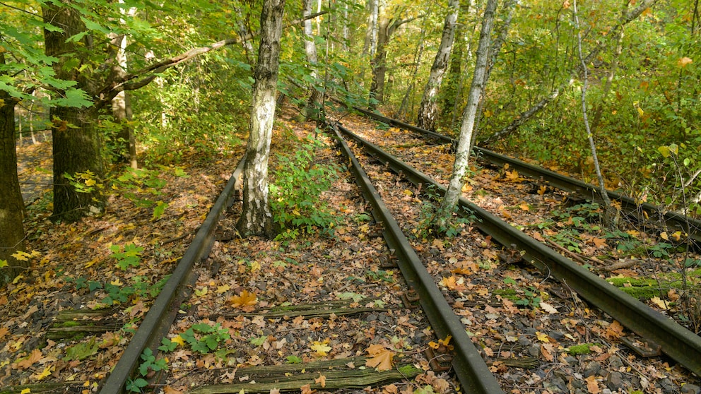 Am Schöneberger Südgelände fuhren früher Fernzüge