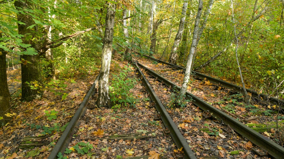 Am Schöneberger Südgelände fuhren früher Fernzüge