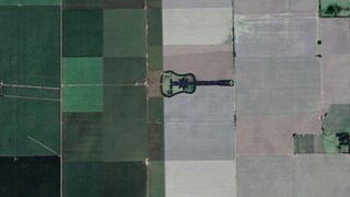 Gitarre aus Bäumen in Argentinien