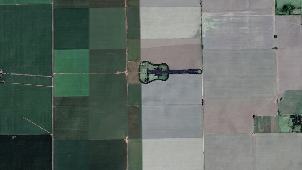 Gitarre aus Bäumen in Argentinien