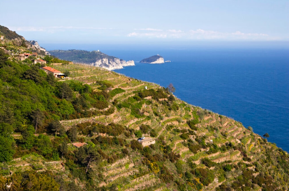 Gulf of La Spezia