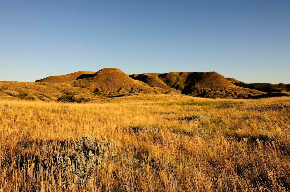 Grasslands Nationalpark Kanada