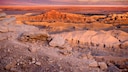 Dinosaurer-Fund in der Atacama-Wüste