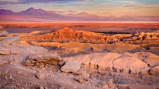 Dinosaurer-Fund in der Atacama-Wüste
