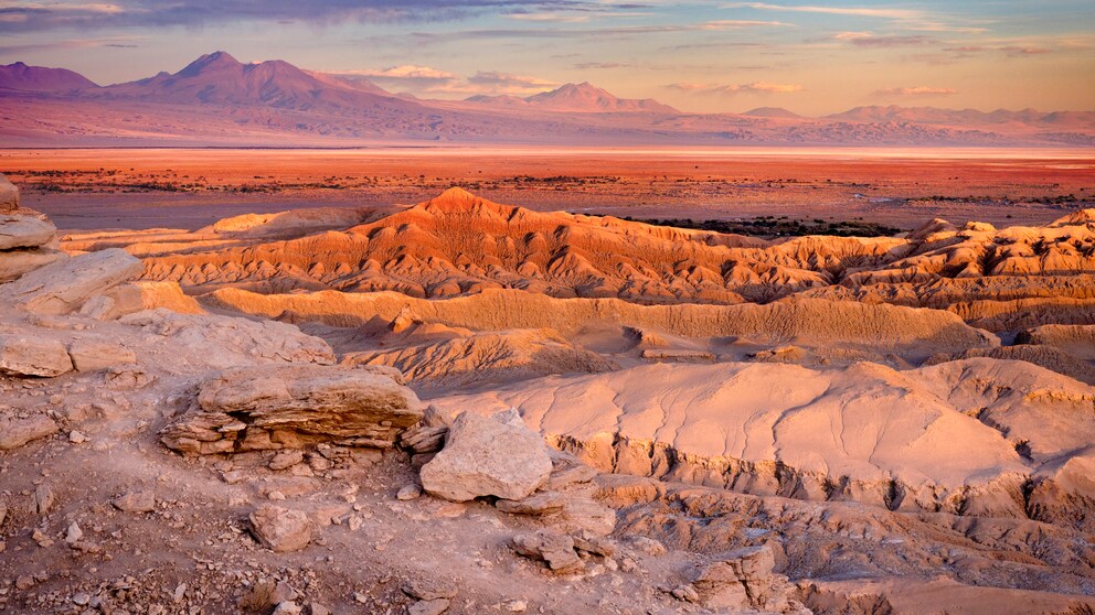 Dinosaurer-Fund in der Atacama-Wüste