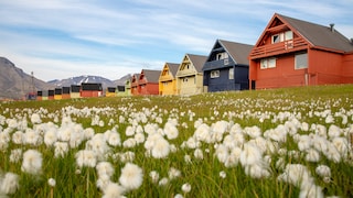 Longyearbyen