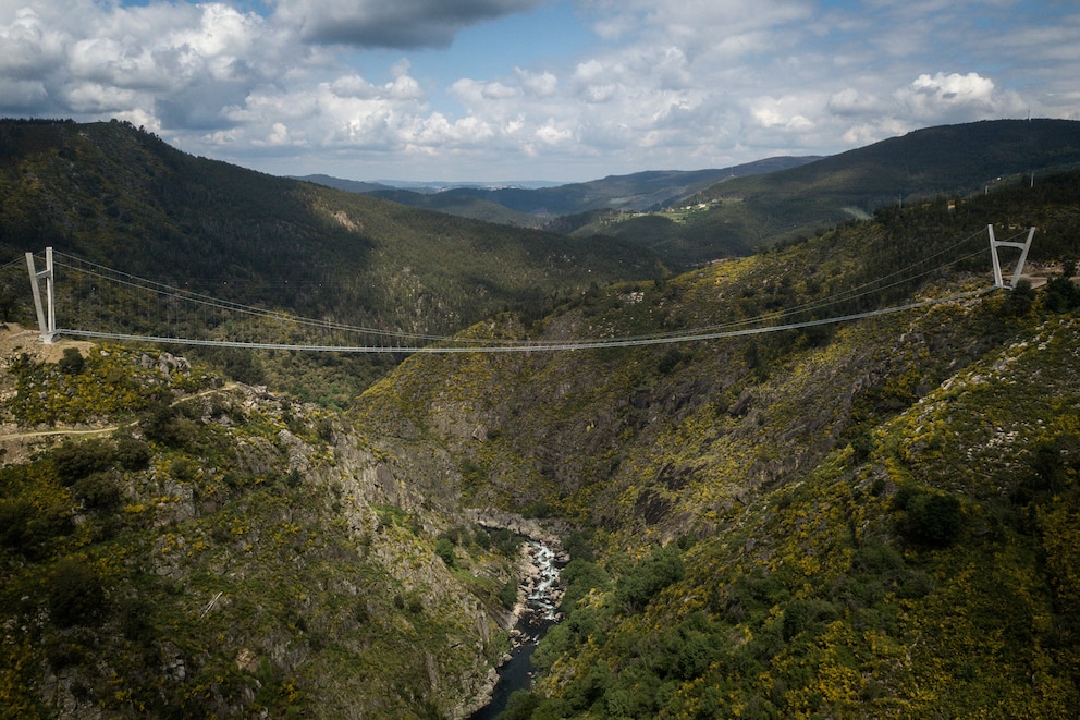 Die Brücke spannt sich über ein Tal und ermöglicht so einen tollen Ausblick auf den sie umgebenden Nationalpark