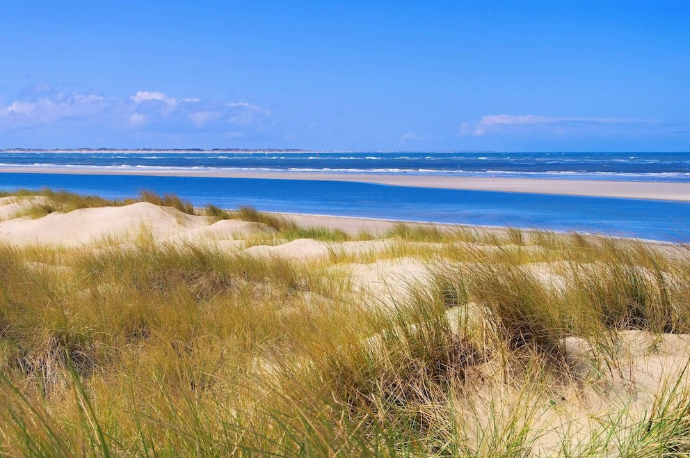 Dünen Langeoog