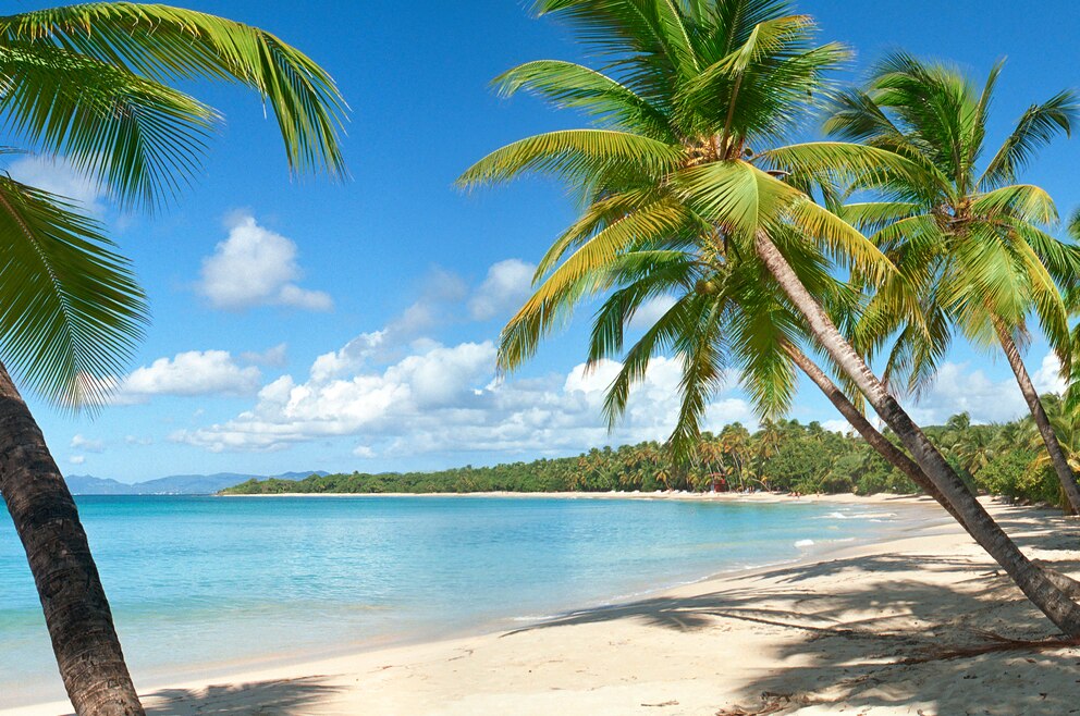 Grande Anse des Salines Martinique