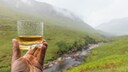 Scotch Whisky