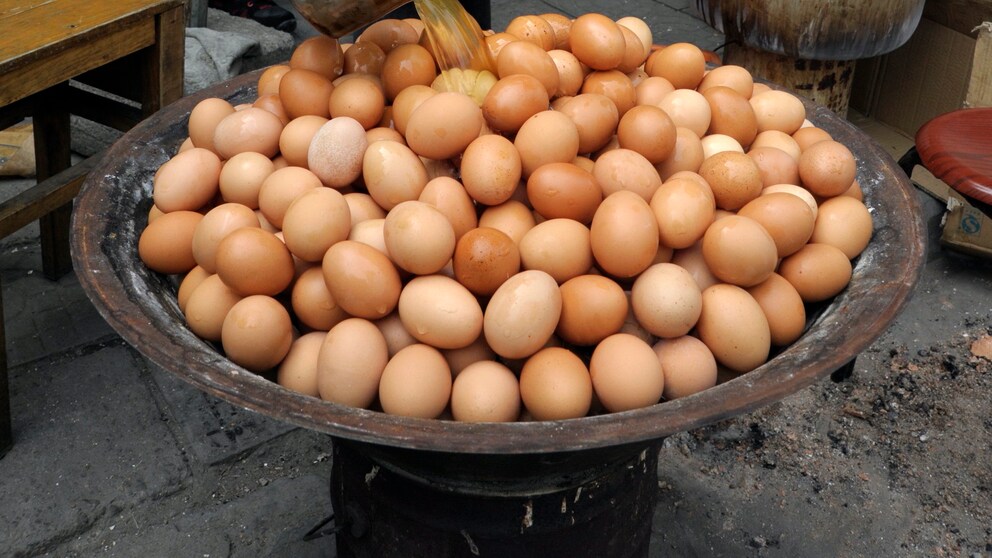 Eier Urin