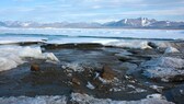 Die neue nördlichste Insel vor der Nordküste Grönlands