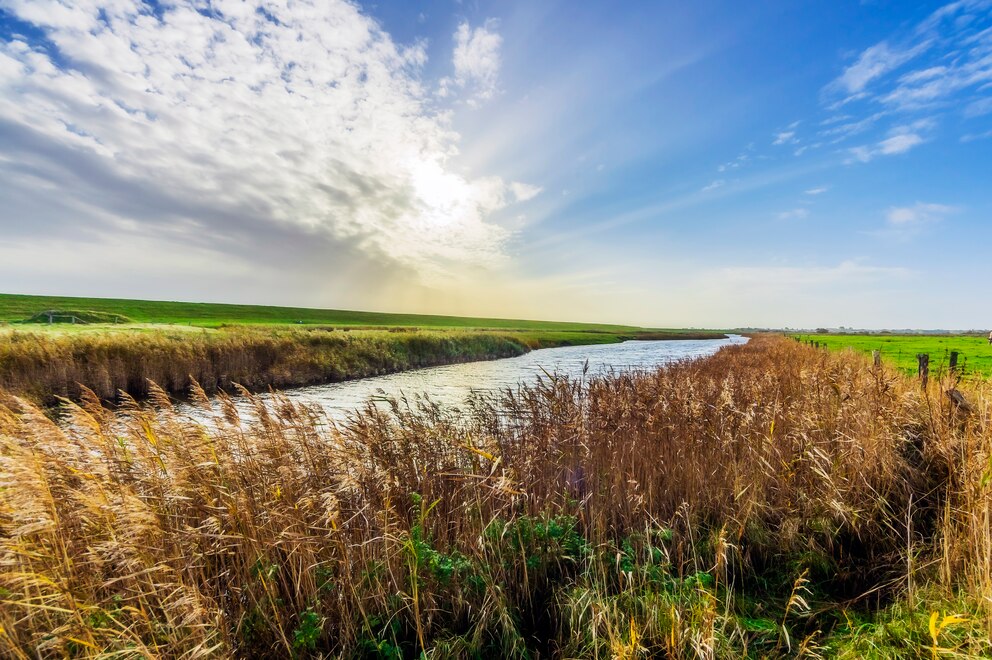 Ist Föhr von allen Nordseeinseln diejenige, die am besten zu Ihnen passt?