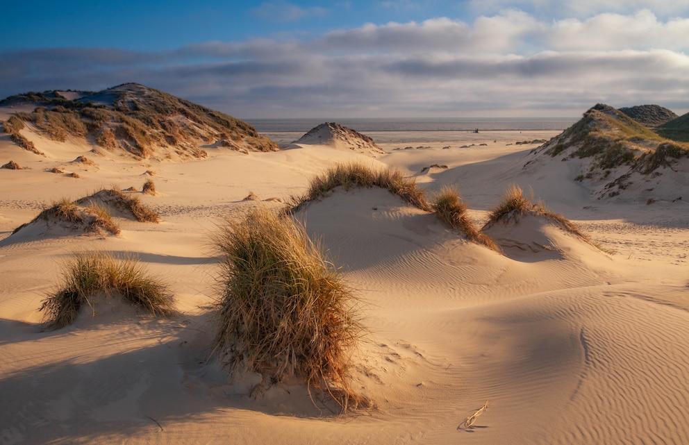 Der Strand von Amrum, eine der Nordseeinseln