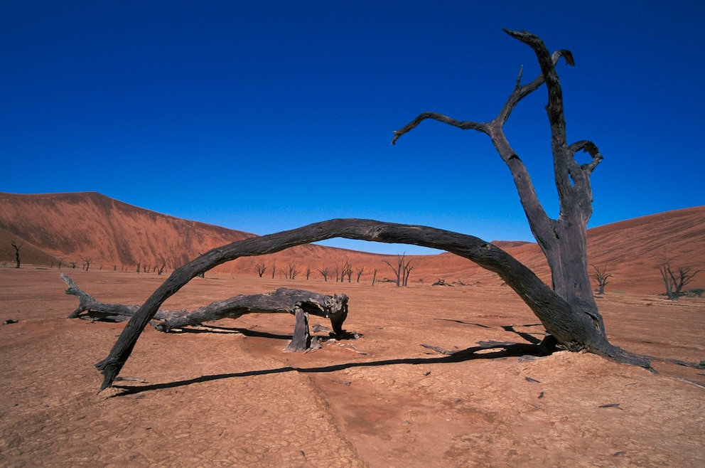 Deadvlei