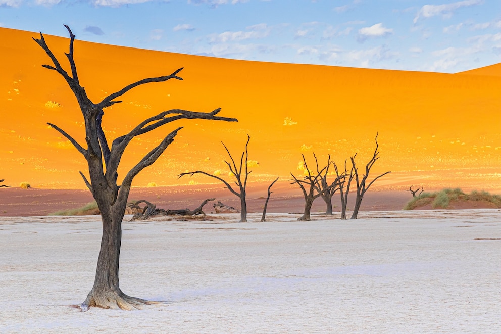 Deadvlei