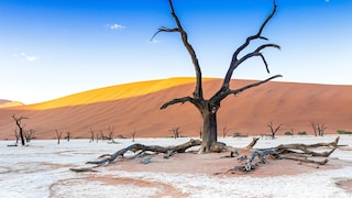 Deadvlei