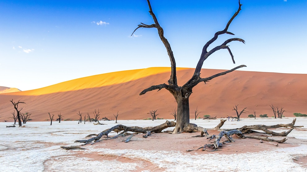 Deadvlei
