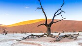 Deadvlei