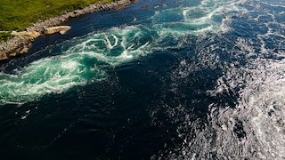 Saltstraumen