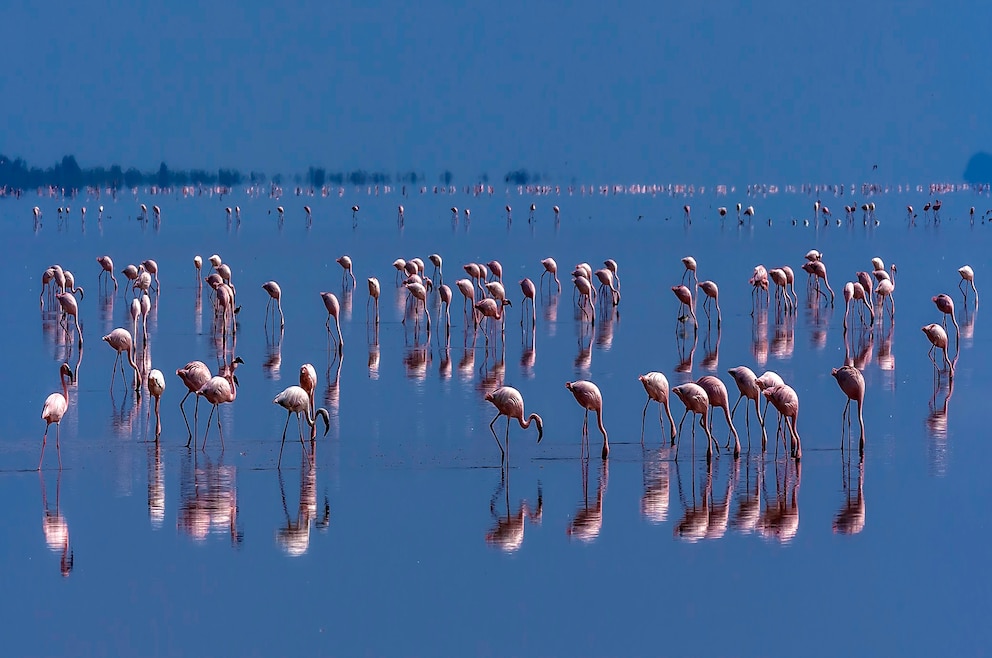 Lake Natron