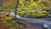 Bolton Strid