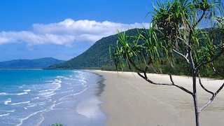 Cape Tribulation