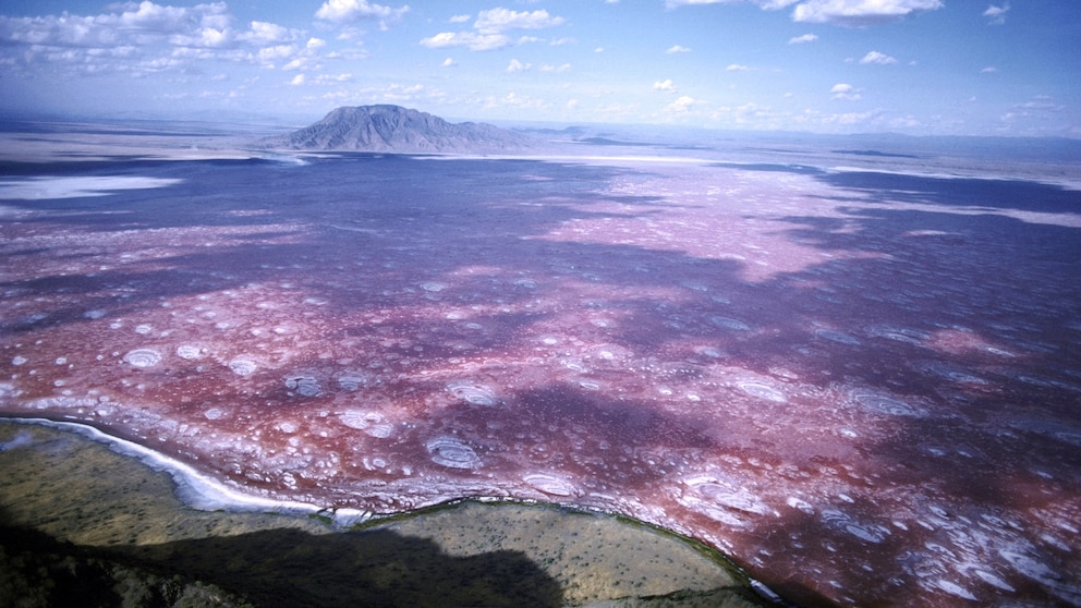 Lake Natron