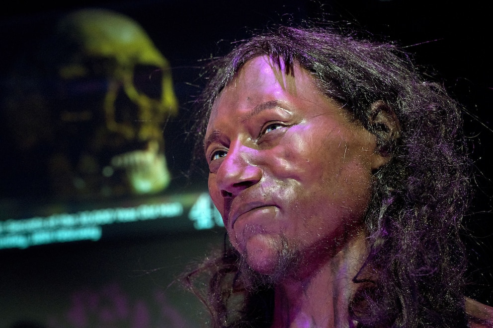 So könnte der „Cheddar Man“ ausgesehen haben – die Rekonstruktion, die 2018 gezeigt wurde, basiert auf dem Schädel des ausgegrabenen Skeletts