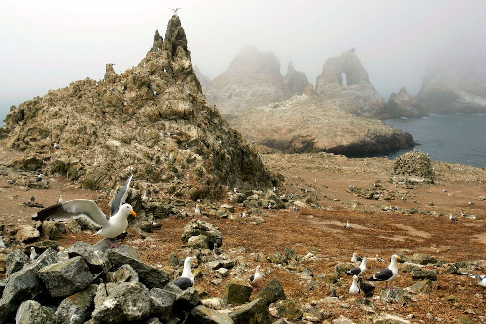 Farallon Islands