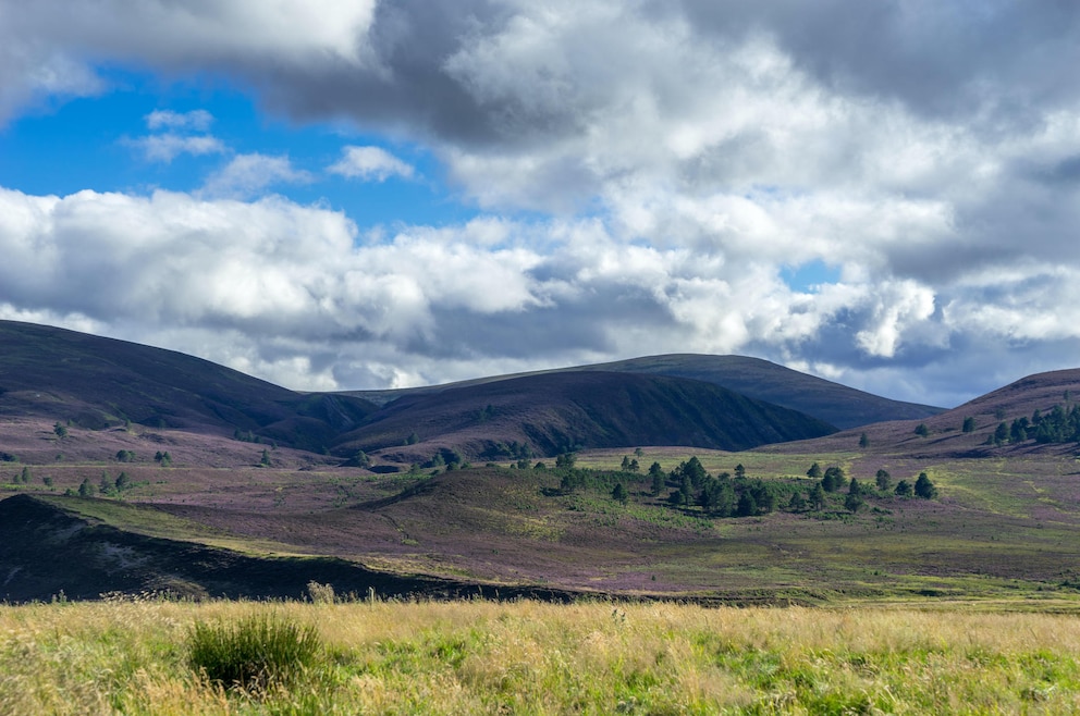 Highlander, Braveheart, Rob Roy, James Bond – die schottischen Highlands dienen seit Jahrzehnten als Kulisse für international erfolgreiche Filme.