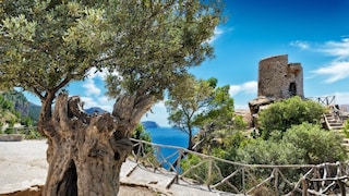 Mallorca Wanderweg GR 221
