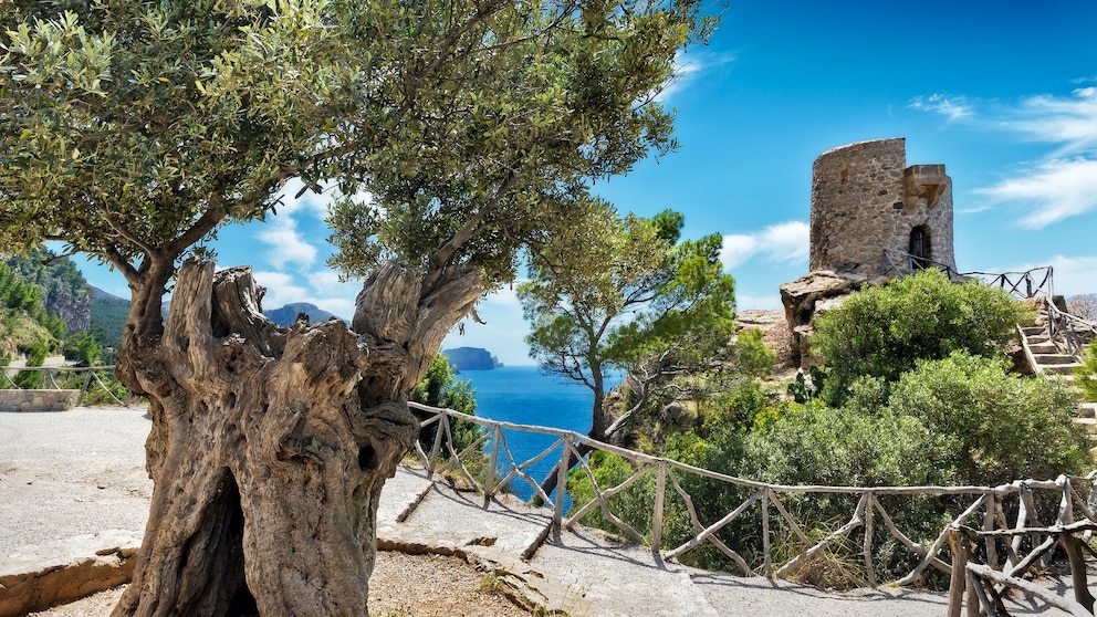 Mallorca Wanderweg GR 221