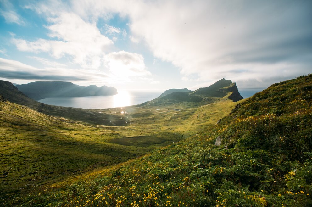 Islands wilde und nahezu unberührte Westfjorde: Die Hornbjarg-Klippe ist eines der größten isländischen Biotope für Seevögel. 