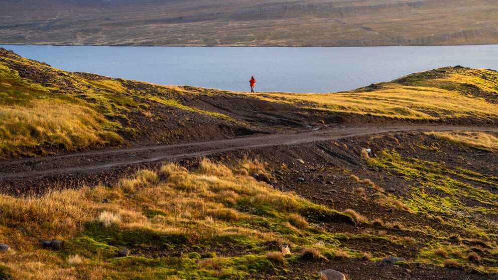 Die Westfjorde in Island