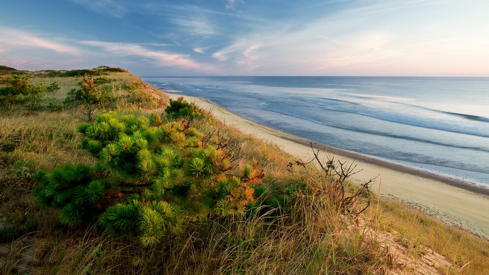 Cape Cod