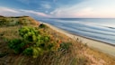 Cape Cod