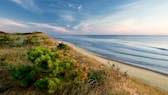 Cape Cod