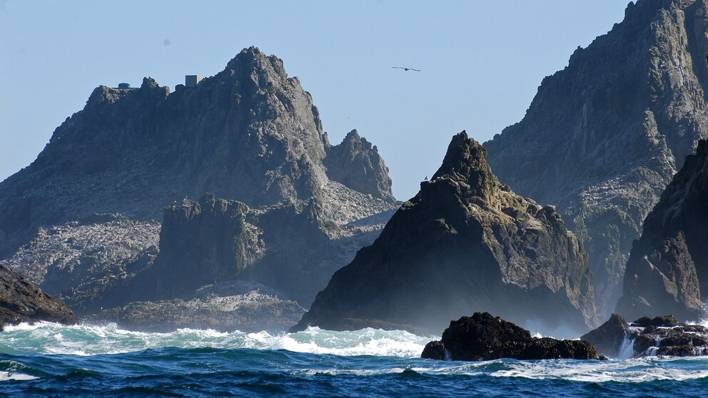 Farallon Islands