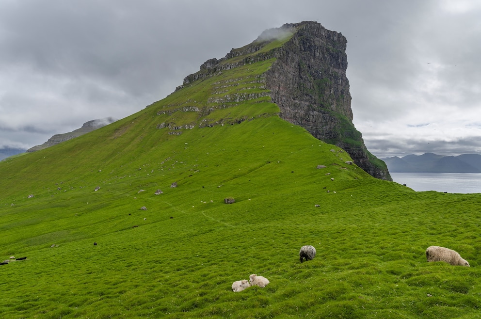 Kalsoy Kallur Färöer-Inseln