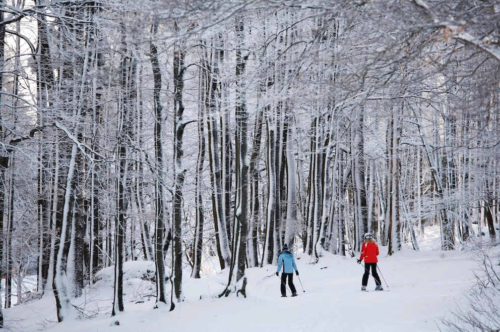 Skifahrer Kreuzberg Rhön