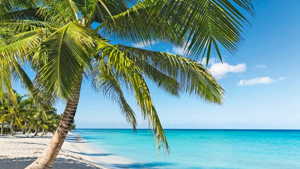 Sonne, Strand & Meer: Entfliehen Sie der kalten Jahreszeit mit einem Traumurlaub in der Karibik.