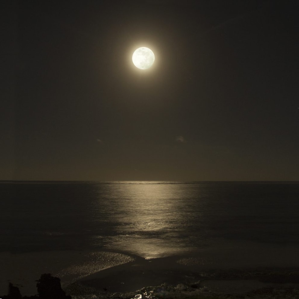 Moonrise over the sea
