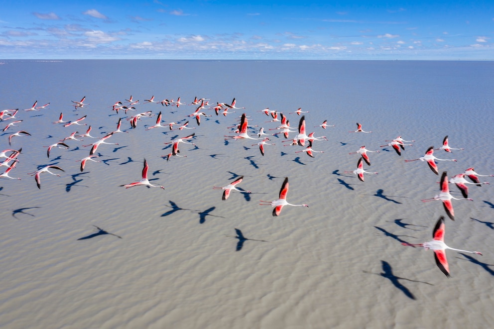 Makgadikgadi-Salzpfannen