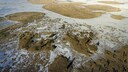 Makgadikgadi-Salzpfannen