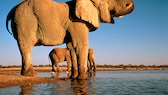 Etosha-Nationalpark