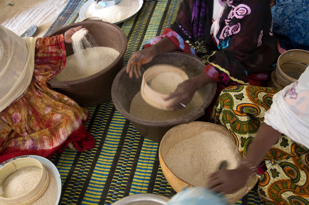 Hirse im Senegal