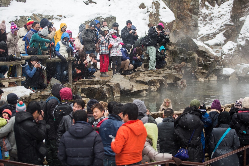 Jigokudani-Affenpark